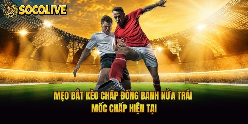 Mẹo Bắt Kèo Chấp Đồng Banh Nửa Trái – Mốc Chấp Hiện Tại