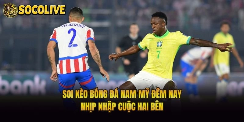 Soi Kèo Bóng Đá Nam Mỹ Đêm Nay – Nhịp Nhập Cuộc Hai Bên